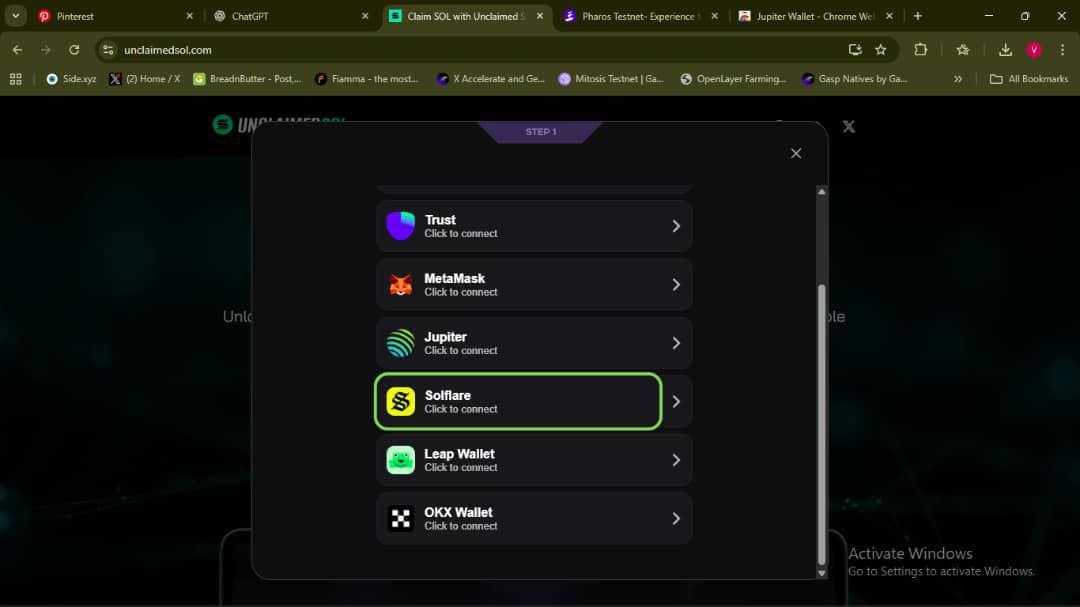 Solwallet Mobile Search Address Bar